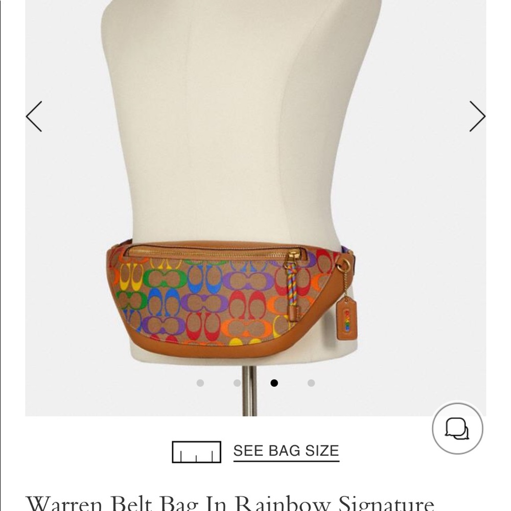 Warren Belt Bag In Rainbow 🌈 Signature Canvas